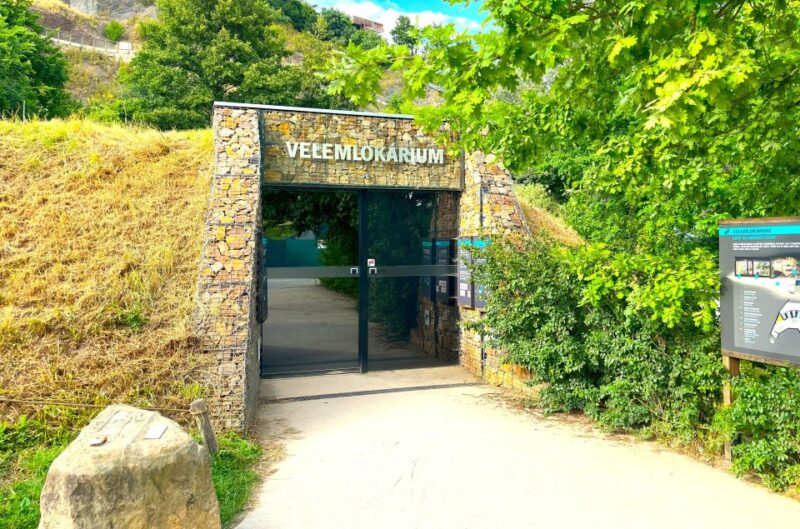 Prague Zoo Online Audio Guide (No ticket) - The Limitations: Navigation Challenges and User Feedback