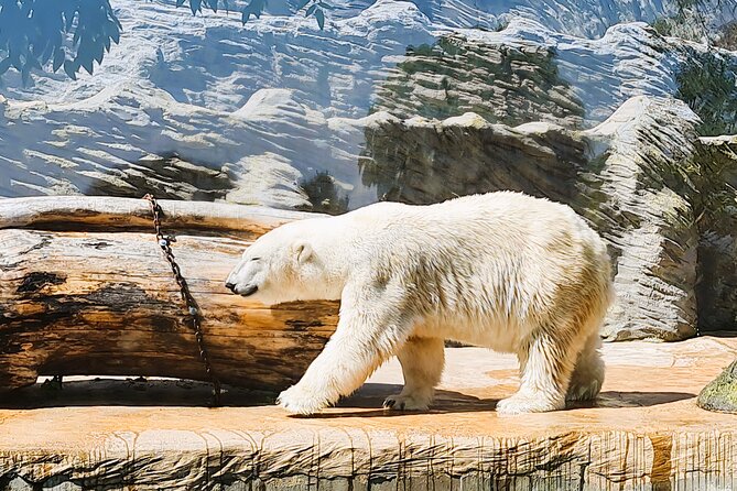 Prague Zoo Ticket with Online Audio Guide - Key Points