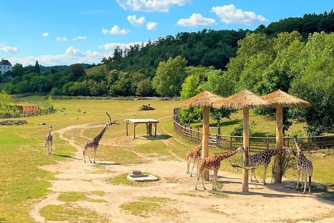 Prague Zoo Ticket with Online Audio Guide - Accessibility and Practical Considerations