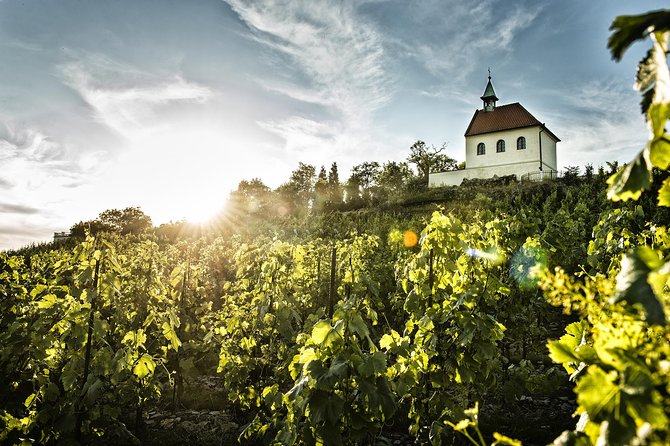 Prague´s Hidden Vineyards Private Tour - Expert Guides With Passion for Prague and Wine