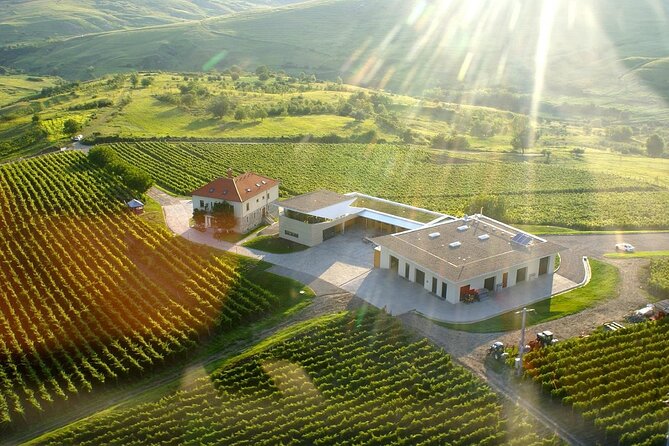 Prahova Salt Mine & Wine Tasting - Private day tour from Bucharest - Highlights of the Tour: Impressive Salt Chambers and Fine Romanian Wines