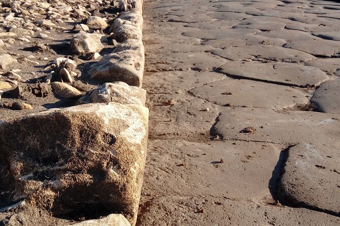 Pre cruise tour - Pickup from Rome Airport and Short Ride into the City