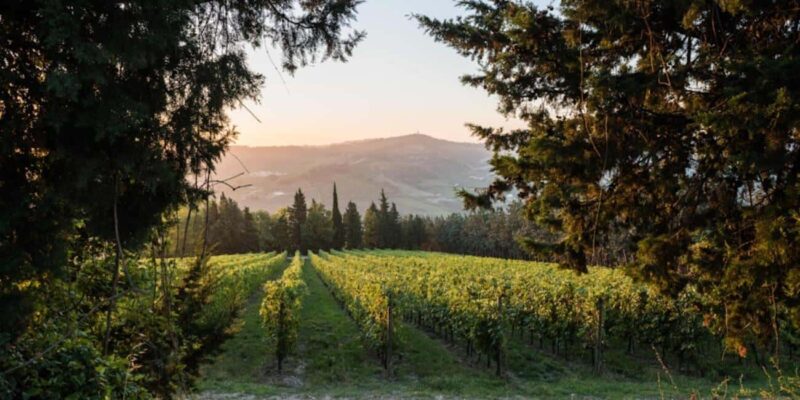 Predappio: Historical Villa Tour with Wine Tasting - Explore the Historic Villa of Predappio with Wine and Food Tastings