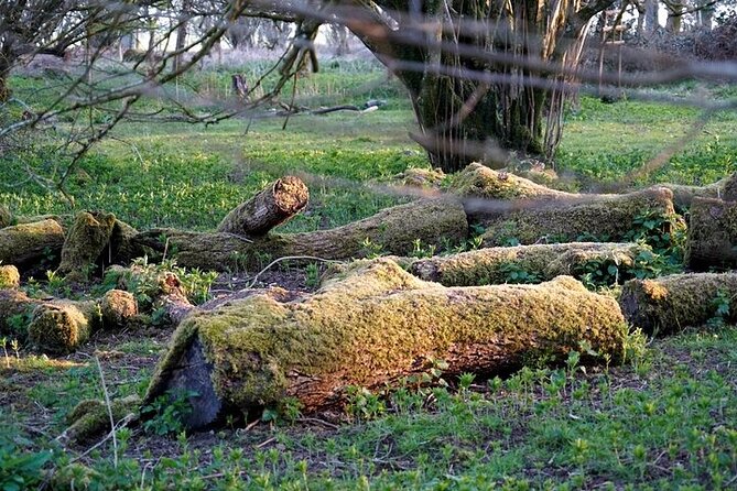 Prehistoric Britain: Ancient Caves, Stonehenge & Haunted Forest - West Kennet Long Barrow and Its Mystical History