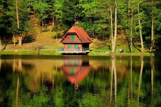 Prehistoric & Medieval Croatia Tour - The Expertise of Guides and Transportation Comfort