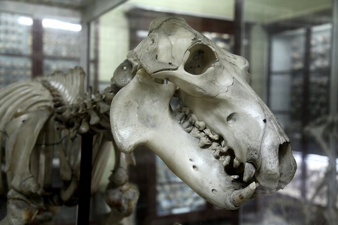 Prehistoric Temples and Highlights of the South Full-Day Tour - Strolling Through the Picturesque Fishing Village of Marsaxlokk