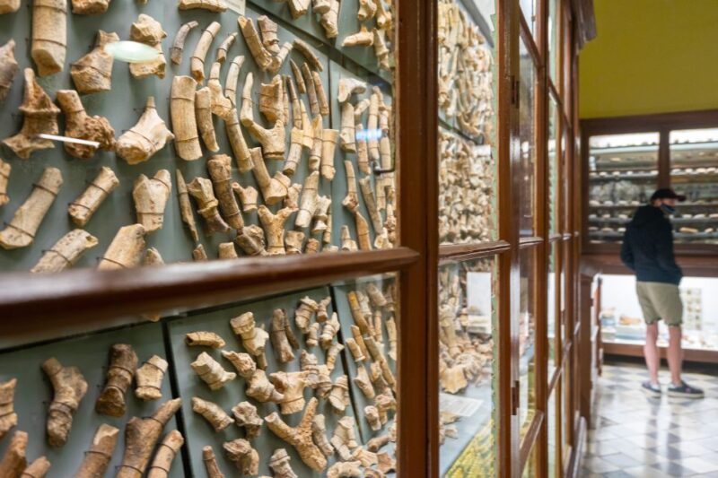 Prehistoric Temples of Malta Tour - The Guides Role: Knowledgeable and Enthusiastic