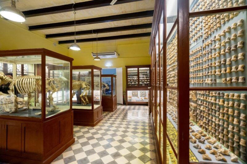 Prehistoric Temples of Malta Tour - The Walk Between Sites and Accessibility Tips