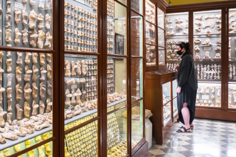 Prehistoric Temples of Malta Tour - Flexibility, Cancellation, and Booking Options