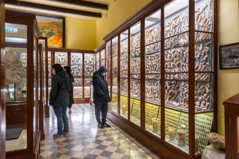 Prehistoric Temples of Malta Tour - Final Thoughts: A Solid Choice for Ancient Malta Enthusiasts