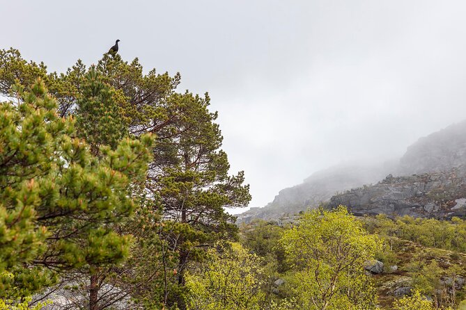 Preikestolen Hidden Trail Hike + Lunch and Canoe Trip - Logistics and Group Size