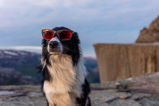 Preikestolen Sunrise Hike And Breakfast Buffet - The Experience of Hiking in Norway’s Early Morning Silence