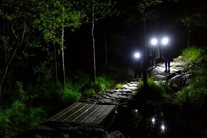 Preikestolen Sunrise Hike And Breakfast Buffet - Why Choose This Tour Over Other Options