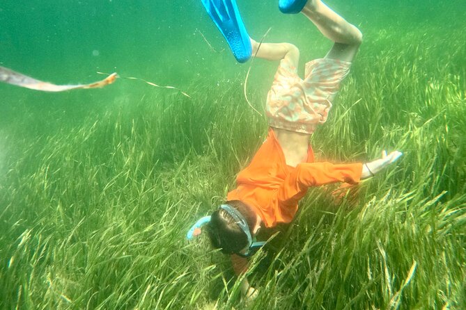 Premier Scalloping Adventure on Florida's Nature Coast - Key Points