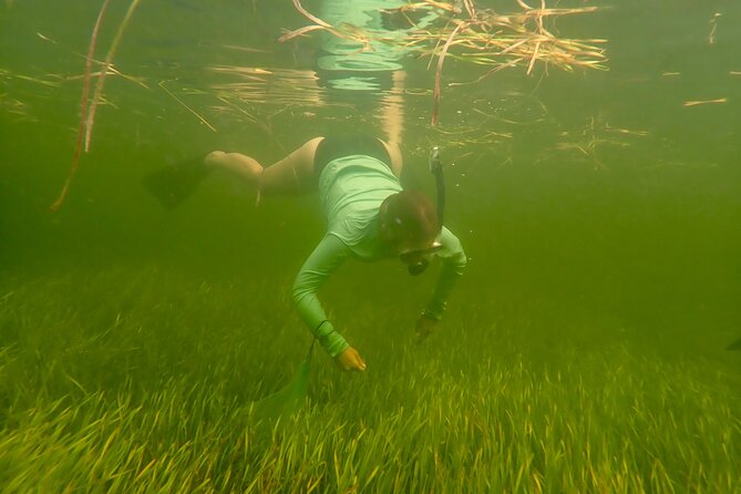 Premier Scalloping Adventure on Florida's Nature Coast - All-Inclusive Equipment and Licenses