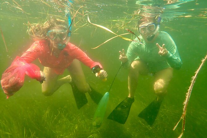 Premier Scalloping Adventure on Florida's Nature Coast - What Sets This Tour Apart: Private, All-Inclusive, and Expert Guidance