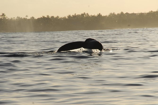 Premier Waikiki Sunset Party Cruise with Live DJ and Full Bar - Amenities and Beverage Options Onboard