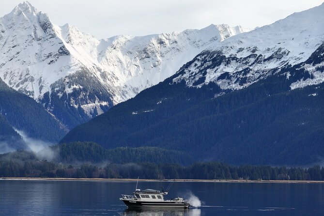 Premier Whale Watching and Wildlife Tour - The Value of an Exclusive, Personalized Experience