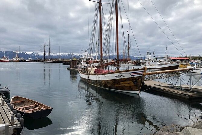 Premium 4x4 Diamond Circle Tour - Visiting the Bubbling Volcanic Landscape at Namafjall Hverir