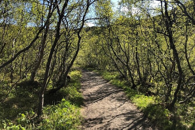 Premium 4x4 Diamond Circle Tour - Discovering Hljooaklettars Basalt Hexagons