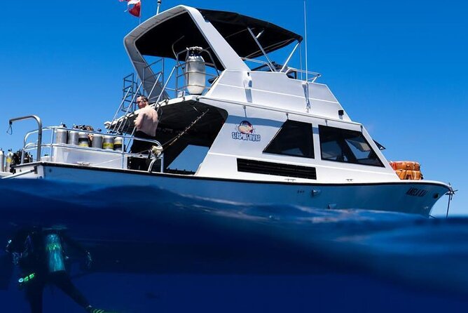 Premium Afternoon Scuba Charter for All Certified Diver Levels - Explore Kauai’s Best Certified Diver Scuba Experience