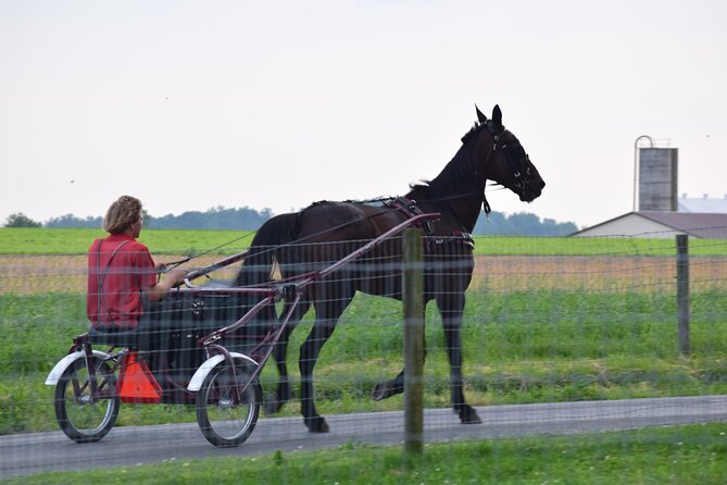 Premium Amish Country Tour including Amish Farm and House - The Value of the Tour and Its Highlights