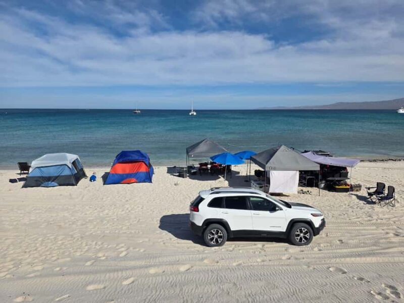 Premium Camping Experience on La Paz Beaches with Chef Included - How the Camp Is Set Up for Comfort and Convenience