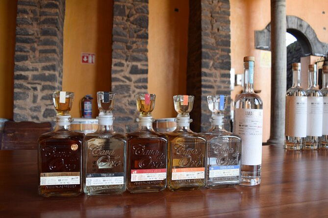 Premium Classic Tequila Experience in Cava de Oro - Discovering the Tequila-Making Process at Fabrica Don Cayo