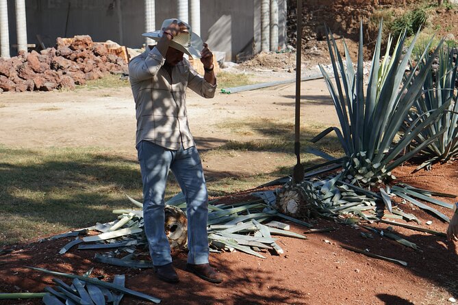 Premium Classic Tequila Experience in Cava de Oro - What Sets This Tour Apart from Others