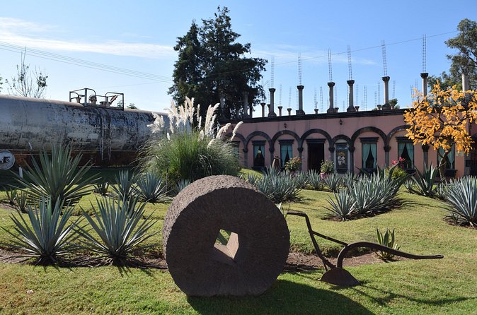 Premium Classic Tequila Experience in Cava de Oro - Limitations and Considerations