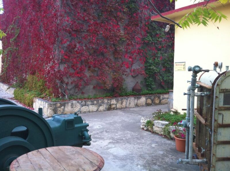 Premium Crete Olive oil tasting, Wine, Raki and Cretan food! - Why This Tour Stands Out