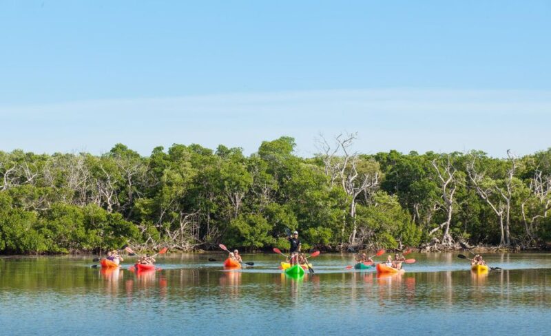 Premium Day Sail, Snorkel &, Kayak with Lunch - Snorkeling in the Florida Keys Pristine Waters