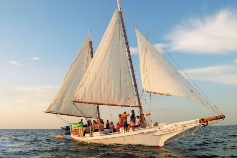 Premium Day Sail, Snorkel &, Kayak with Lunch - Practical Tips and What to Bring