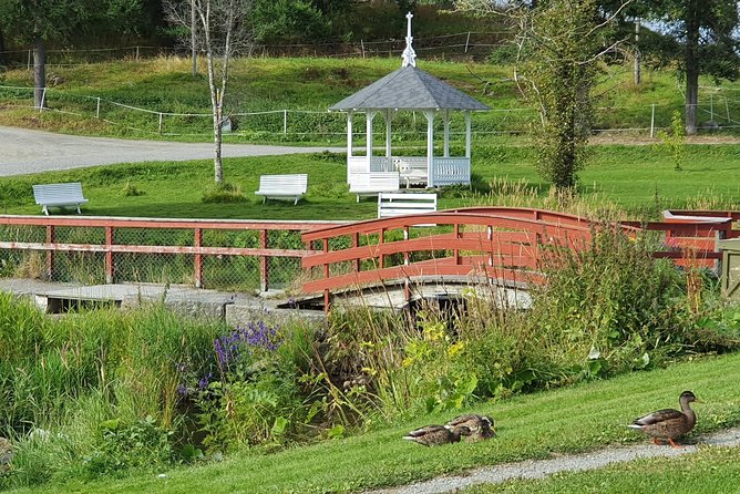 Premium eBike rental - Customer Feedback and Experience Quality