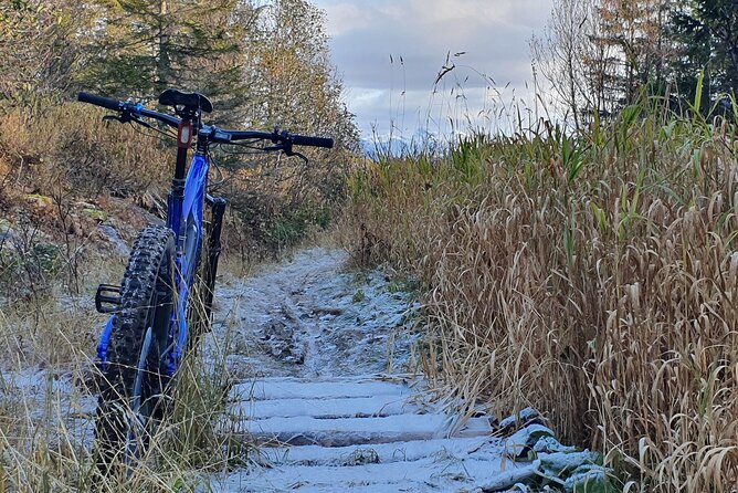 Premium eBike rental - Why Choose This eBike Rental in Bodø?