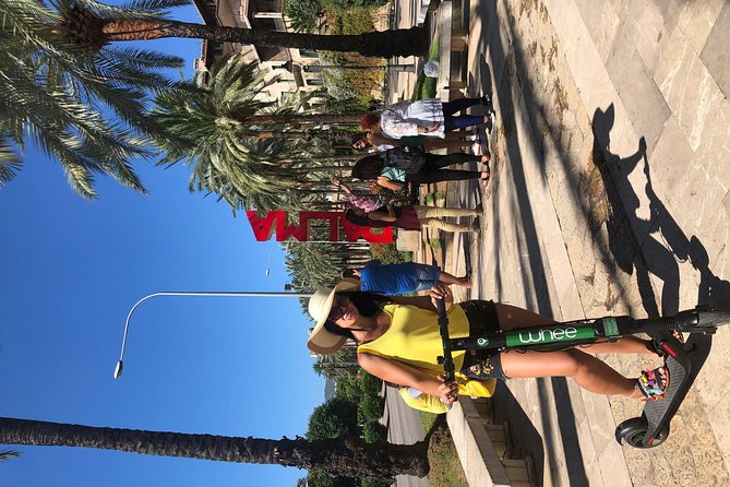 Premium electric Scooter rental with optional delivery - The Scooters: Models and Safety Equipment