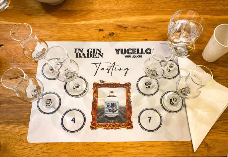 Premium gin tasting: production, variety and tasting - Key Points