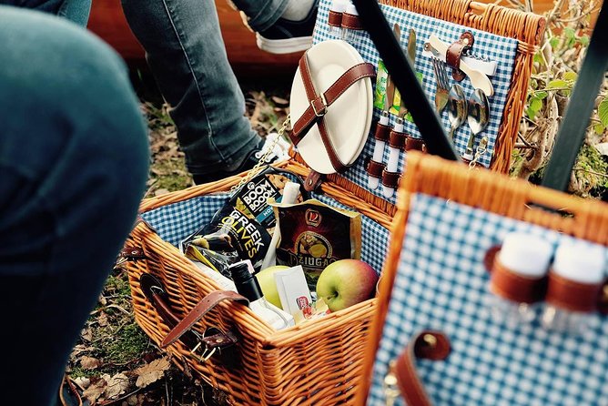 Premium guided Canoe Tour in lake Plateliai Handcrafted inventory and picnic set - Sample Itinerary: From Lake Plateliai to Forest Views