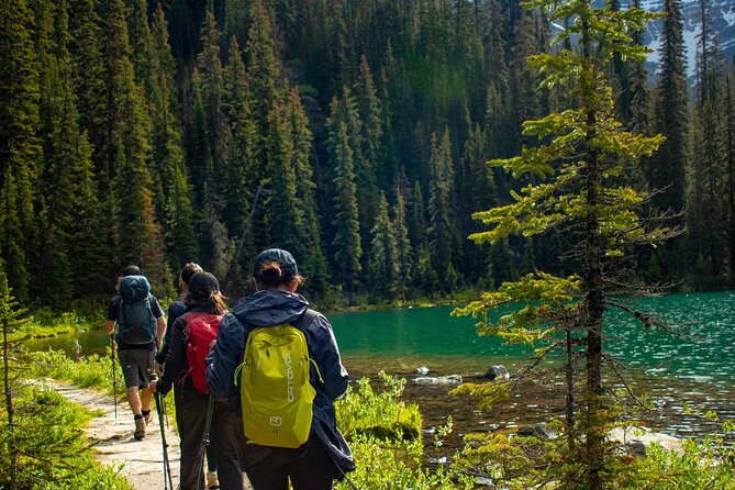 Premium Guided Hiking tours in Banff, Yoho & Kootenay - Exploring Bow Glacier Falls in Banff National Park
