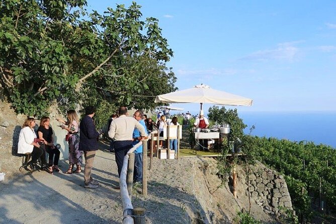 Premium Ischia Wine Tasting Experience with Transfer Included - Scenic Vineyard with Stunning Mediterranean Views