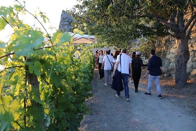 Premium Ischia Wine Tasting Experience with Transfer Included - Guide’s Expertise and Customer Praise