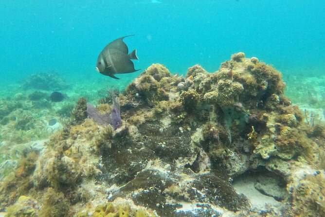 Premium Isla Mujeres Tour by Private Catamaran - Visiting Isla Mujeres: Artisans, Beaches, and Local Charm