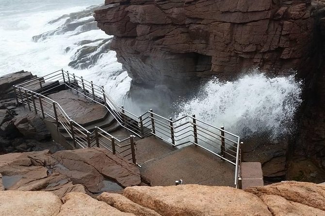 Premium Narrated Bus Tour of Bar Harbor and Acadia National Park (3.5 Hours) - Value for Money and Visitor Satisfaction