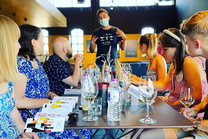 Premium Nemea Wine Tour from Athens, Nafplio or Nemea, with Oenologists - Key Points