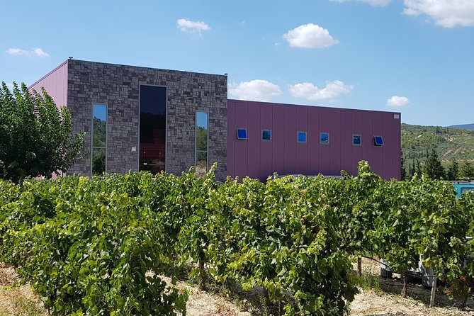 Premium Nemea Wine Tour from Athens, Nafplio or Nemea, with Oenologists - No Need for a Designated Driver