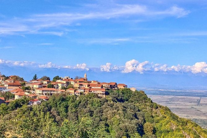 Premium & Organic Wine Tour in Kakheti - Exploring Sighnaghi and the Great Wall of Georgia