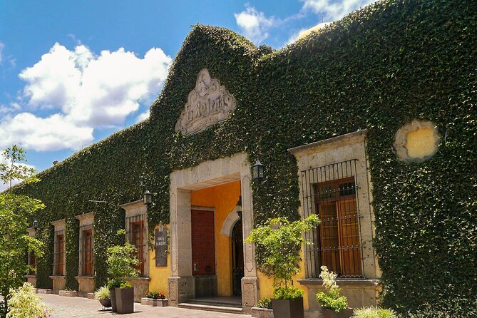 Premium Plus Sunset - Free Time to Explore Tequila Town and Savor Local Flavors