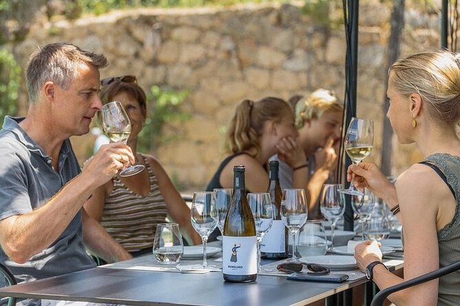 Premium Private Douro Tour: 2 Wineries with Tastings & Cruise - Physical Requirements and Accessibility