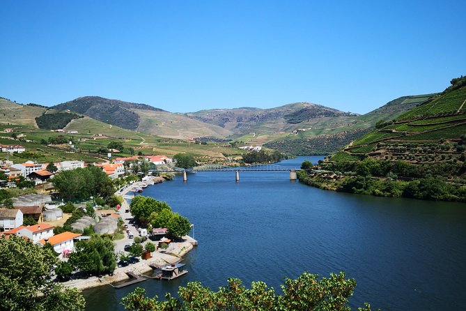 Premium Private Douro Tour: 3 Wineries with Tastings & Lunch - Quinta Seara d’Ordens: Olive Oil, Nuts, and More
