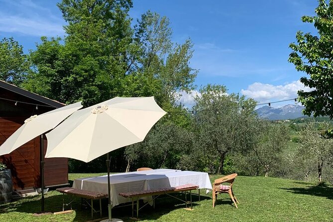 Premium Private Prosecco Hills Tour - 2 Wineries. Private tour. - Return Journey with Scenic Views